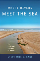 front cover of Where Rivers Meet the Sea