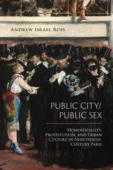 front cover of Public City/Public Sex