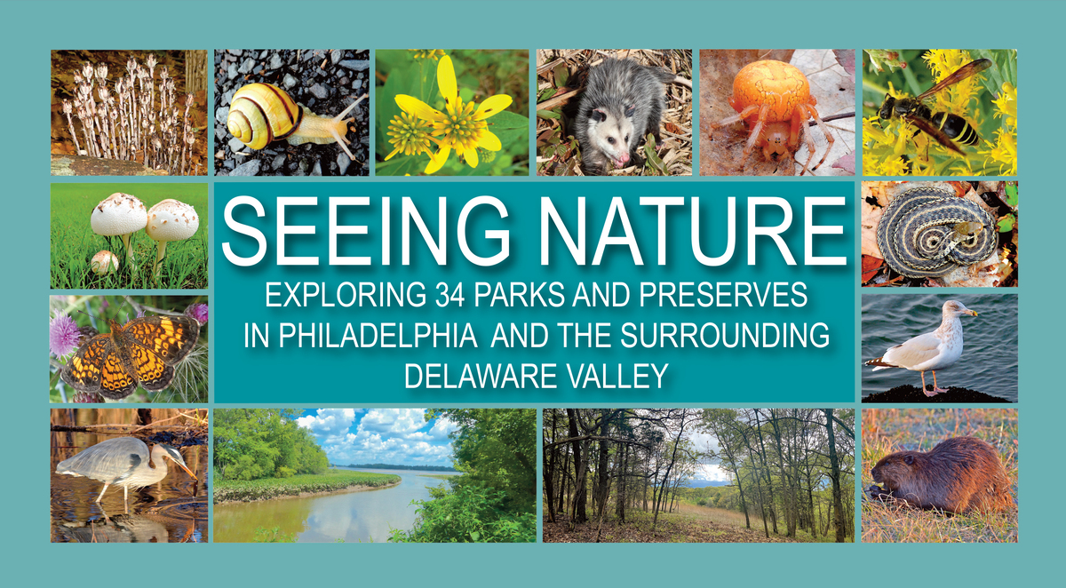 front cover of Seeing Nature