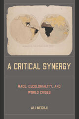 front cover of A Critical Synergy