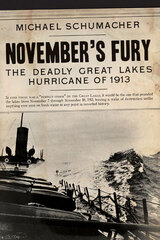 front cover of November's Fury