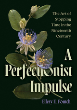 front cover of A Perfectionist Impulse