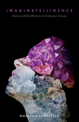 front cover of Imaginatelligence