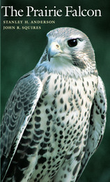 front cover of The Prairie Falcon
