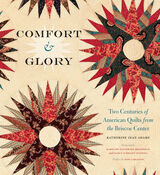 front cover of Comfort and Glory