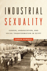 front cover of Industrial Sexuality