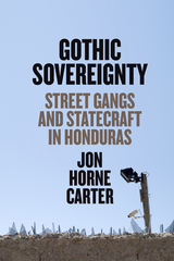 front cover of Gothic Sovereignty