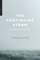 front cover of The Continuing Storm