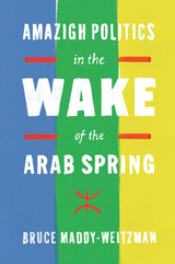 front cover of Amazigh Politics in the Wake of the Arab Spring