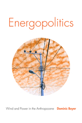 front cover of Energopolitics