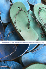 front cover of Allegories of the Anthropocene