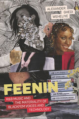 front cover of Feenin
