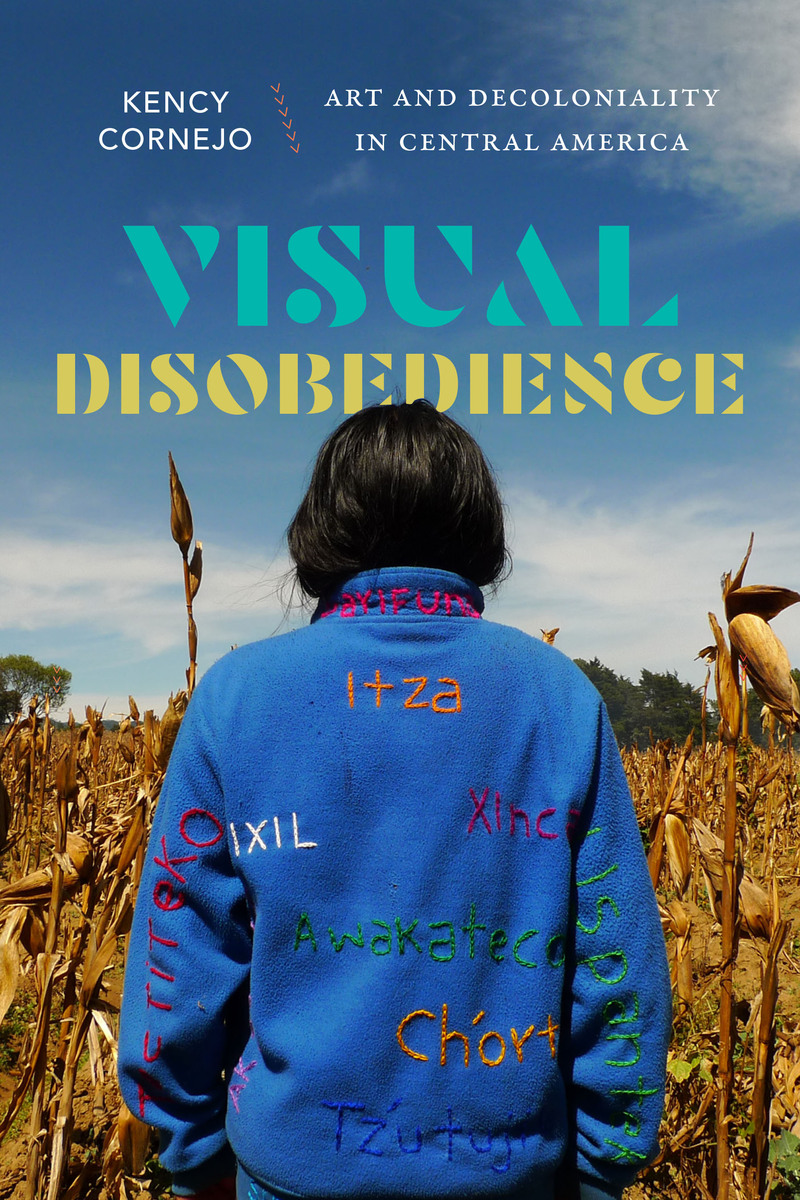 front cover of Visual Disobedience