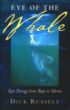 front cover of Eye of the Whale
