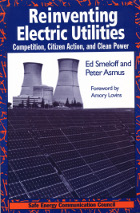 front cover of Reinventing Electric Utilities