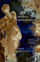 front cover of Beautiful Soon Enough