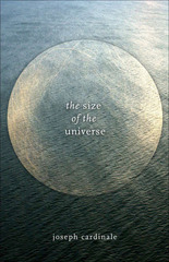 front cover of The Size of the Universe