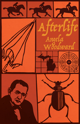 front cover of Afterlife