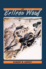 front cover of At Belleau Wood 