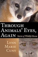 front cover of Through Animals' Eyes, Again