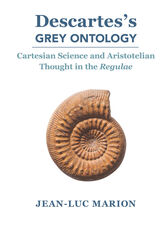 front cover of Descartes's Grey Ontology