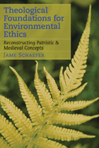 front cover of Theological Foundations for Environmental Ethics