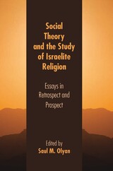 front cover of Social Theory and the Study of Israelite Religion