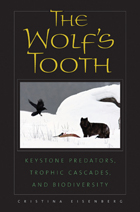 Wolf's Tooth