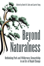 front cover of Beyond Naturalness