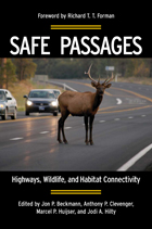 front cover of Safe Passages