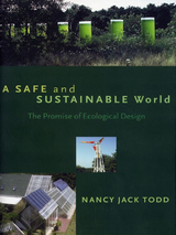 front cover of A Safe and Sustainable World