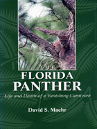 front cover of The Florida Panther