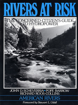 front cover of Rivers at Risk