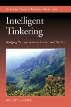 front cover of Intelligent Tinkering