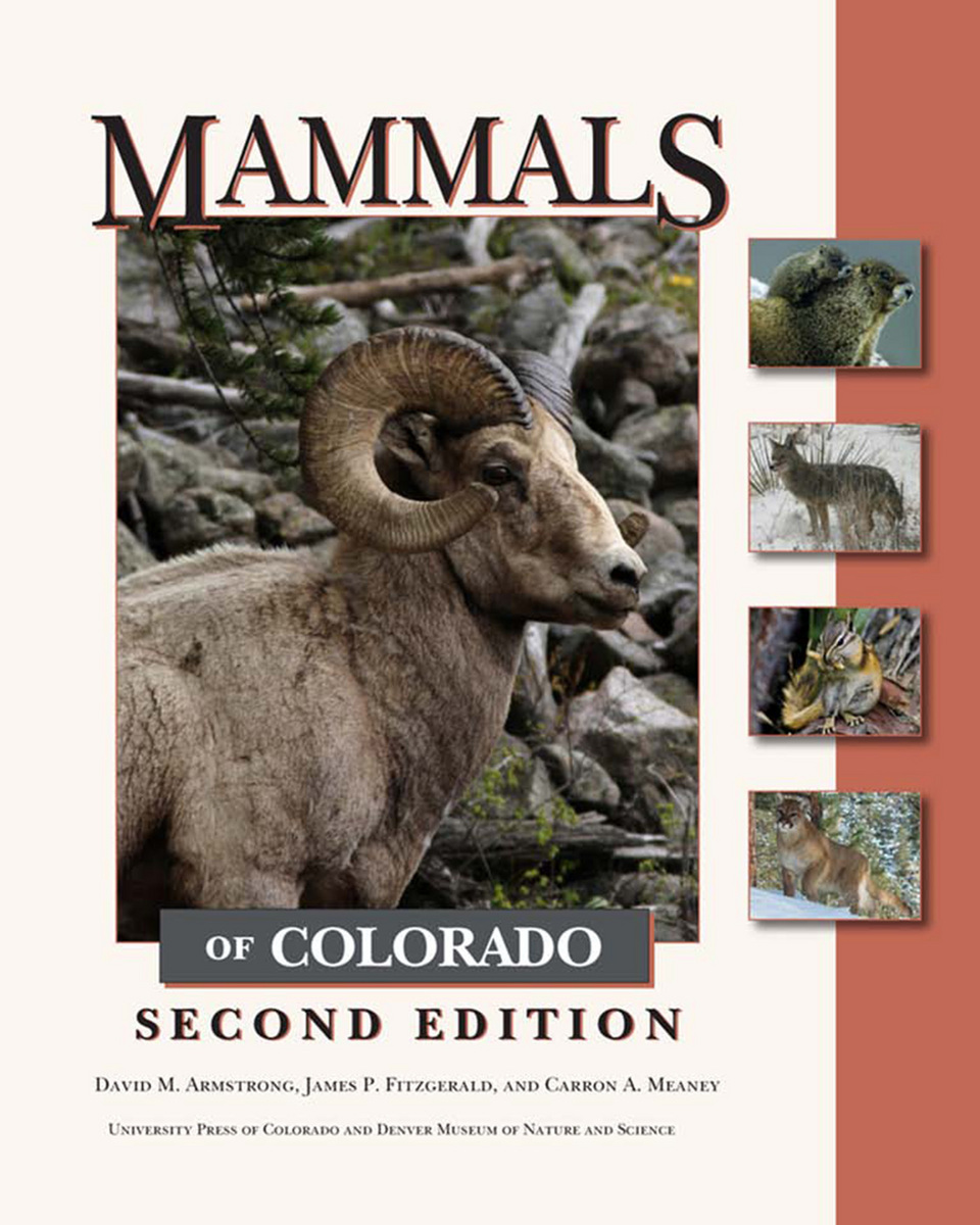 Mammals Of Colorado Second Edition 9781607320470 David