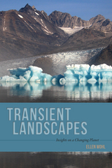 front cover of Transient Landscapes