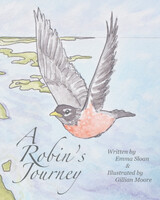 front cover of A Robin's Journey