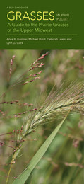 front cover of Grasses in Your Pocket