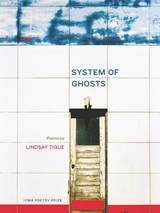 front cover of System of Ghosts