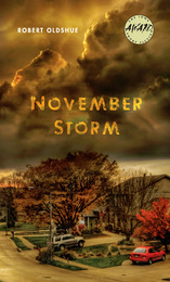 front cover of November Storm
