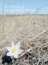 front cover of To Find a Pasqueflower