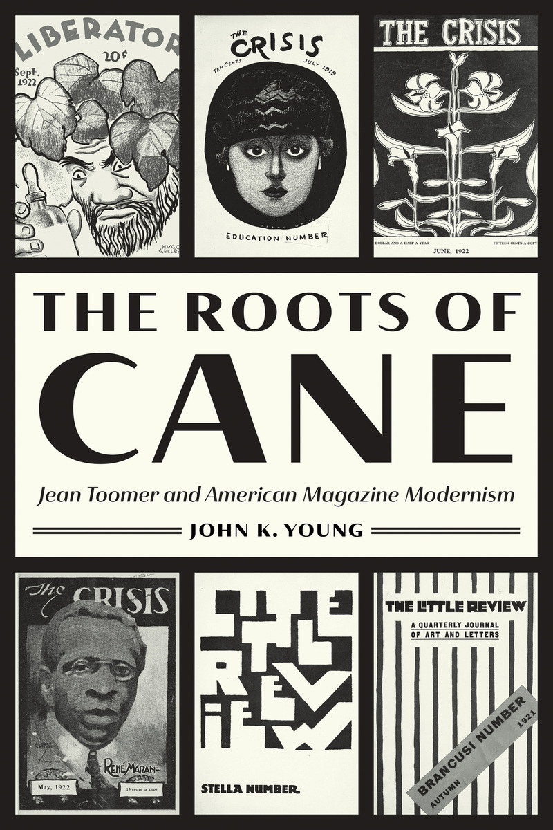 front cover of The Roots of Cane