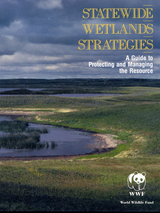 front cover of Statewide Wetlands Strategies