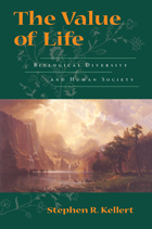 front cover of The Value of Life