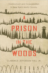 front cover of A Prison in the Woods