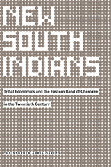 front cover of New South Indians