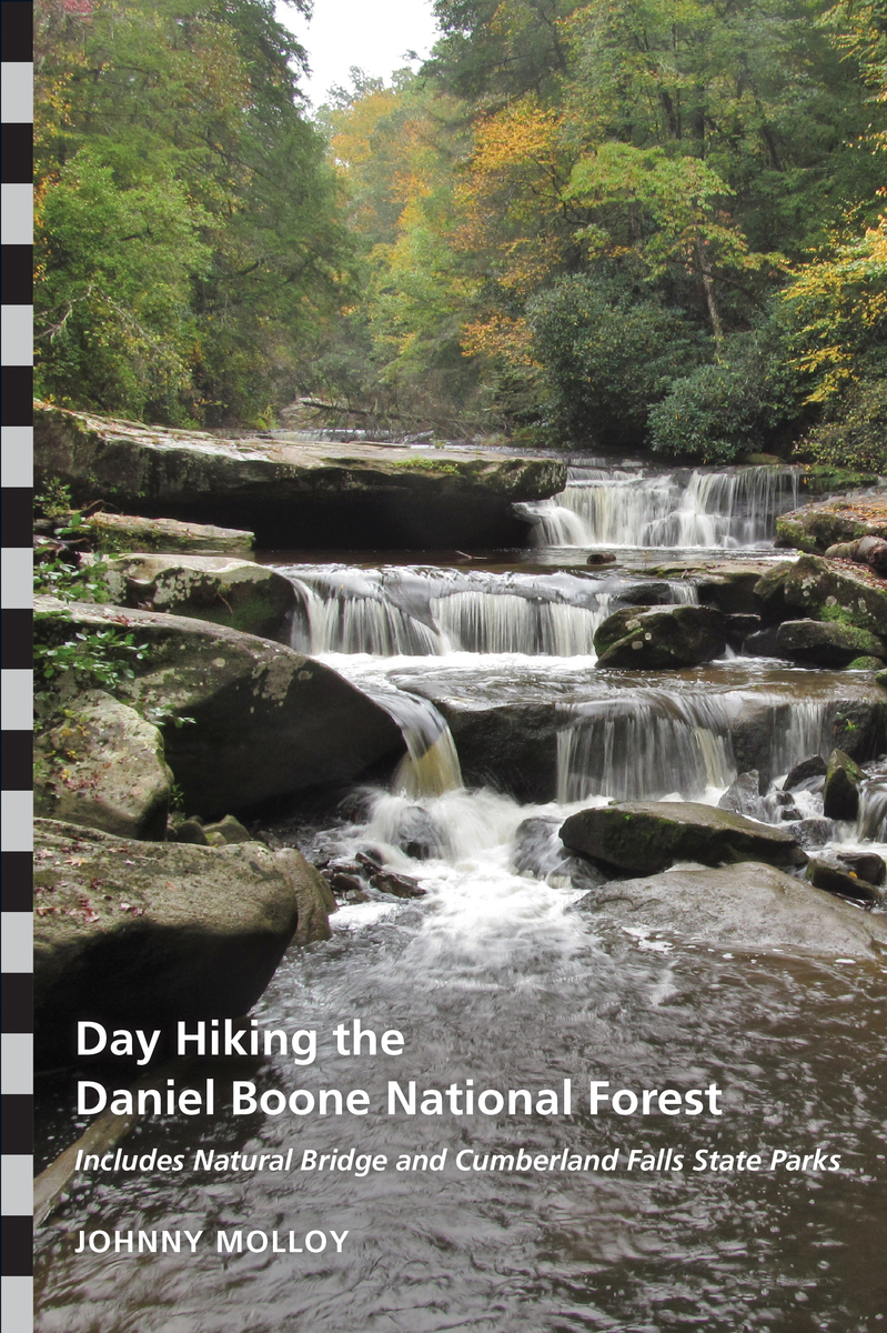 Best hikes daniel boone national forest sale