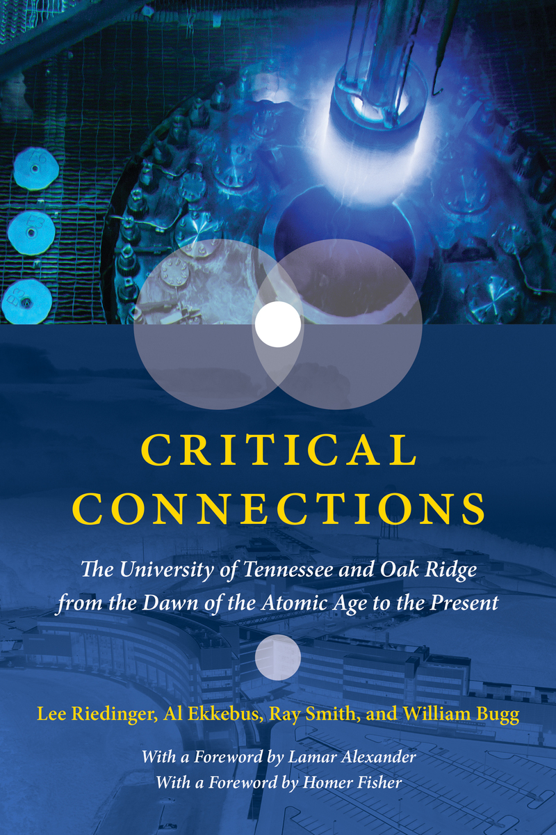 front cover of Critical Connections