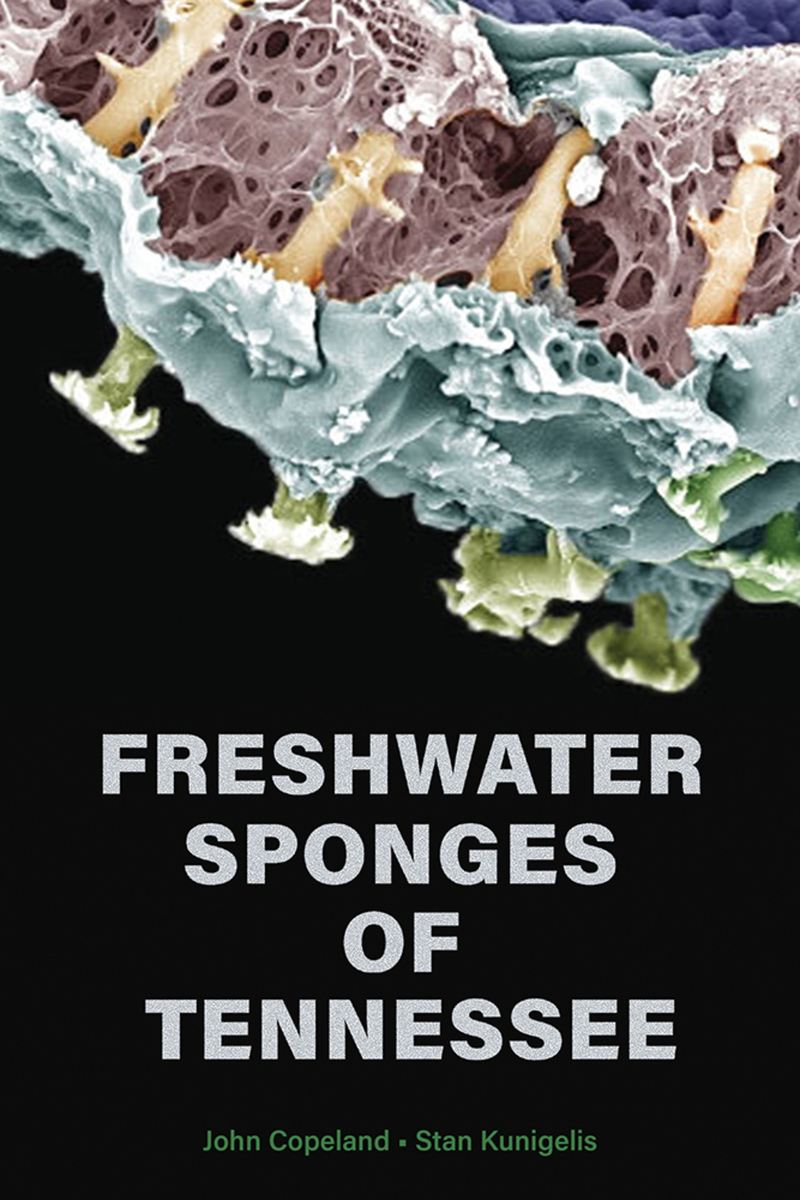 front cover of Freshwater Sponges of Tennessee