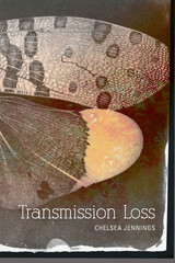 front cover of Transmission Loss